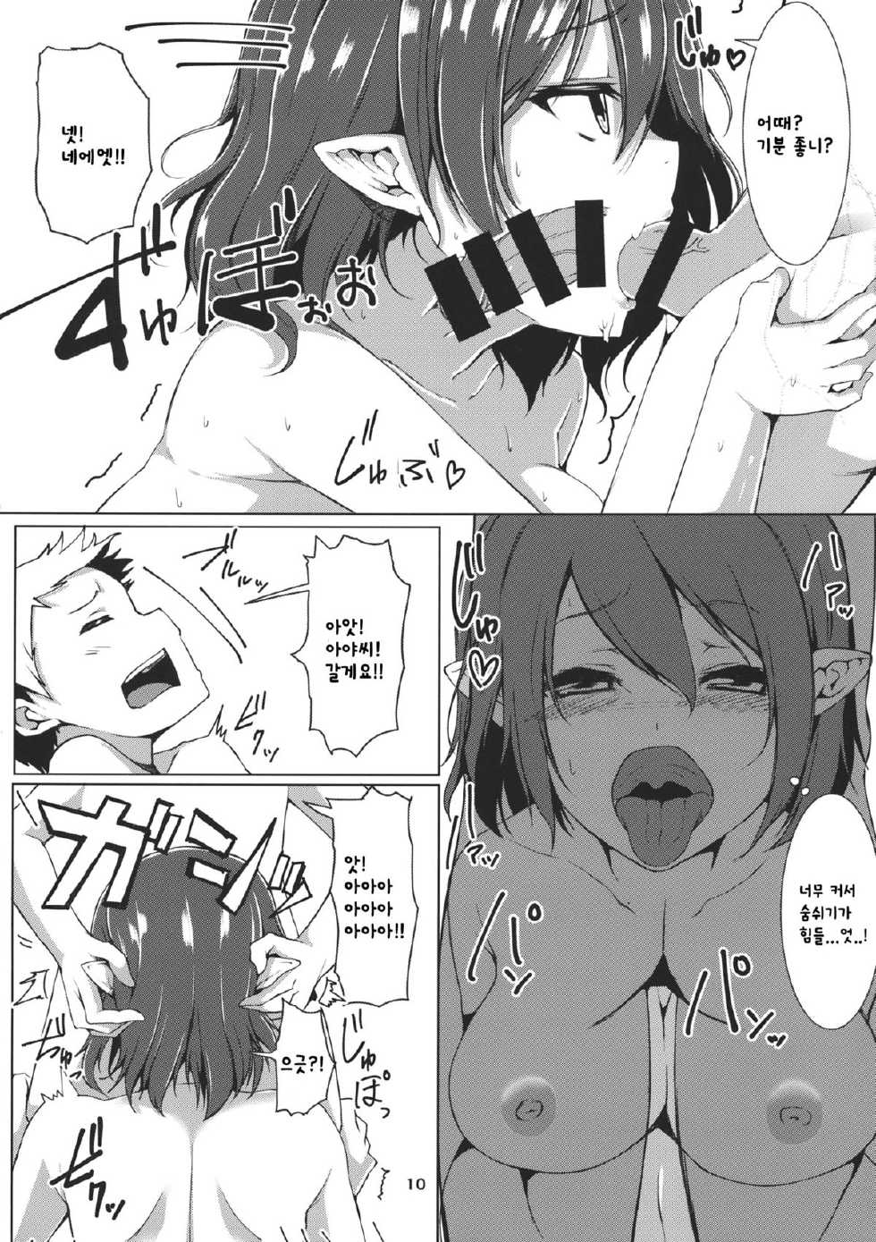 (Reitaisai 12) [Triple Luck (Miyoshi)] Aya Hata Love (Touhou Project) [Korean] [지가나던 동갤러 A] - Page 9