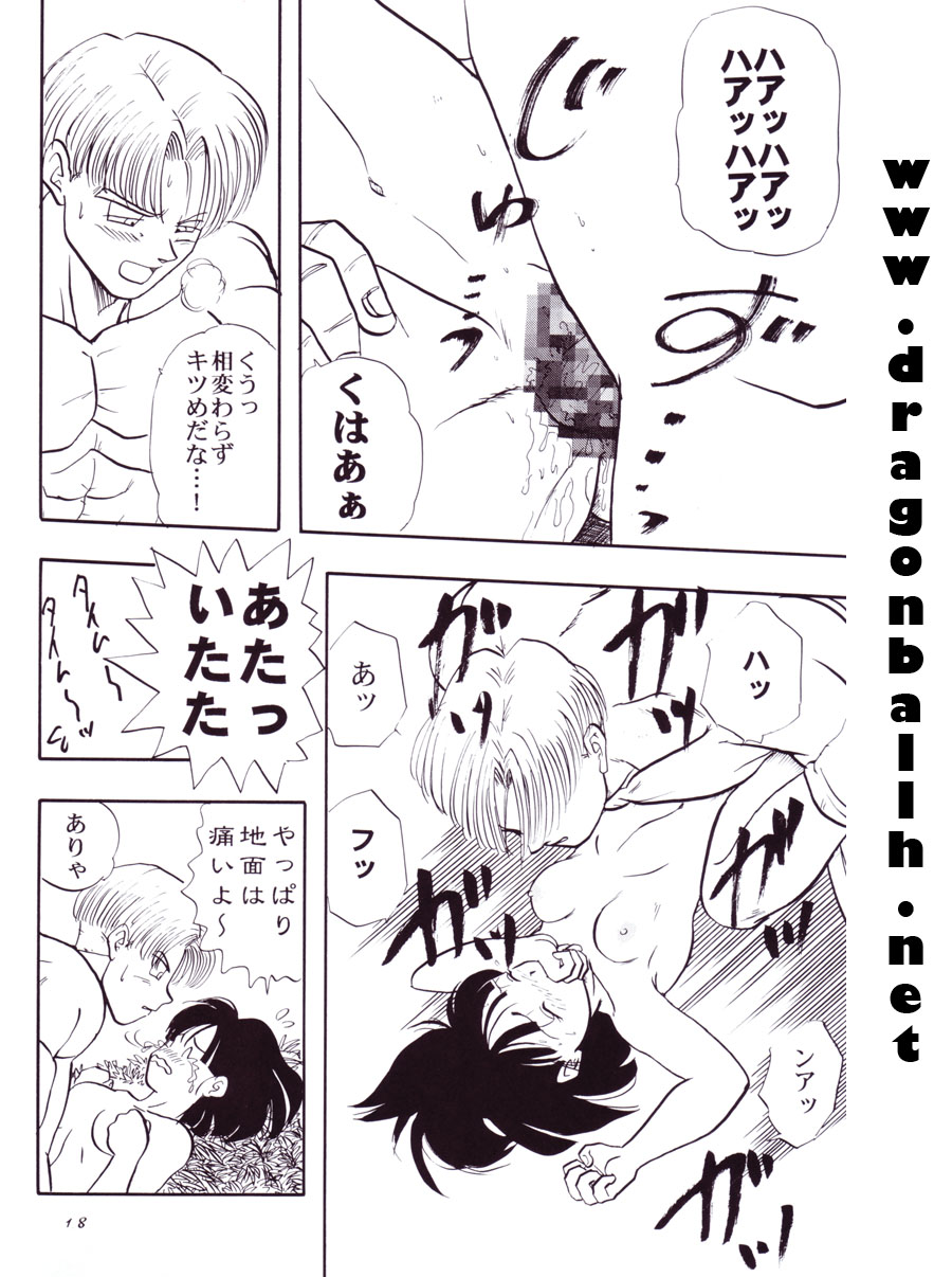 (C54) [Chirigami Goya, Fusuma Goten (Shouji Hariko)] Tirinuruwo (Dragon Ball GT) - Page 18