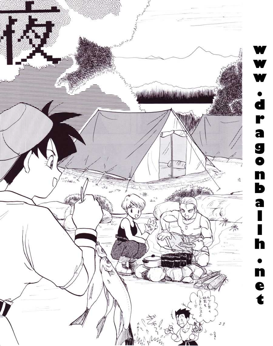 (C54) [Chirigami Goya, Fusuma Goten (Shouji Hariko)] Tirinuruwo (Dragon Ball GT) - Page 25