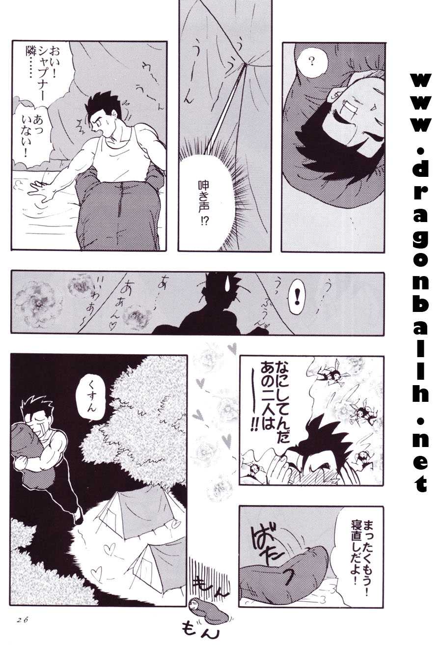 (C54) [Chirigami Goya, Fusuma Goten (Shouji Hariko)] Tirinuruwo (Dragon Ball GT) - Page 26