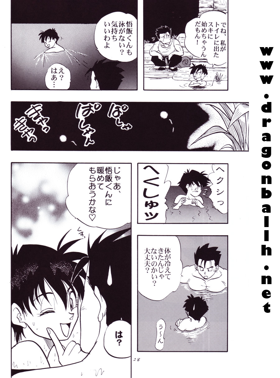 (C54) [Chirigami Goya, Fusuma Goten (Shouji Hariko)] Tirinuruwo (Dragon Ball GT) - Page 28