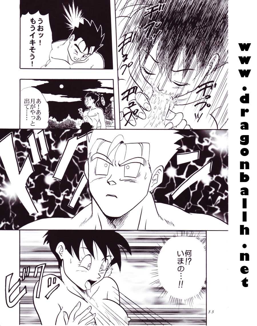 (C54) [Chirigami Goya, Fusuma Goten (Shouji Hariko)] Tirinuruwo (Dragon Ball GT) - Page 33