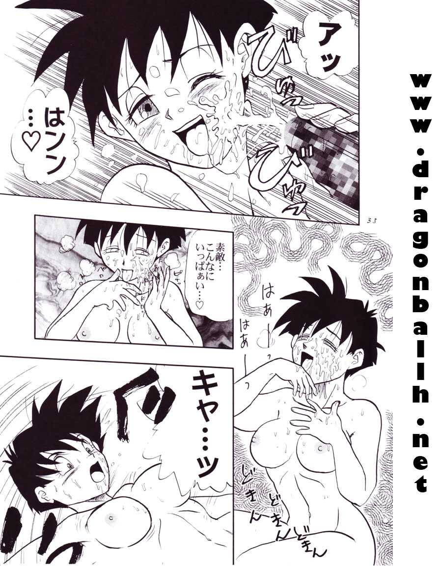 (C54) [Chirigami Goya, Fusuma Goten (Shouji Hariko)] Tirinuruwo (Dragon Ball GT) - Page 35