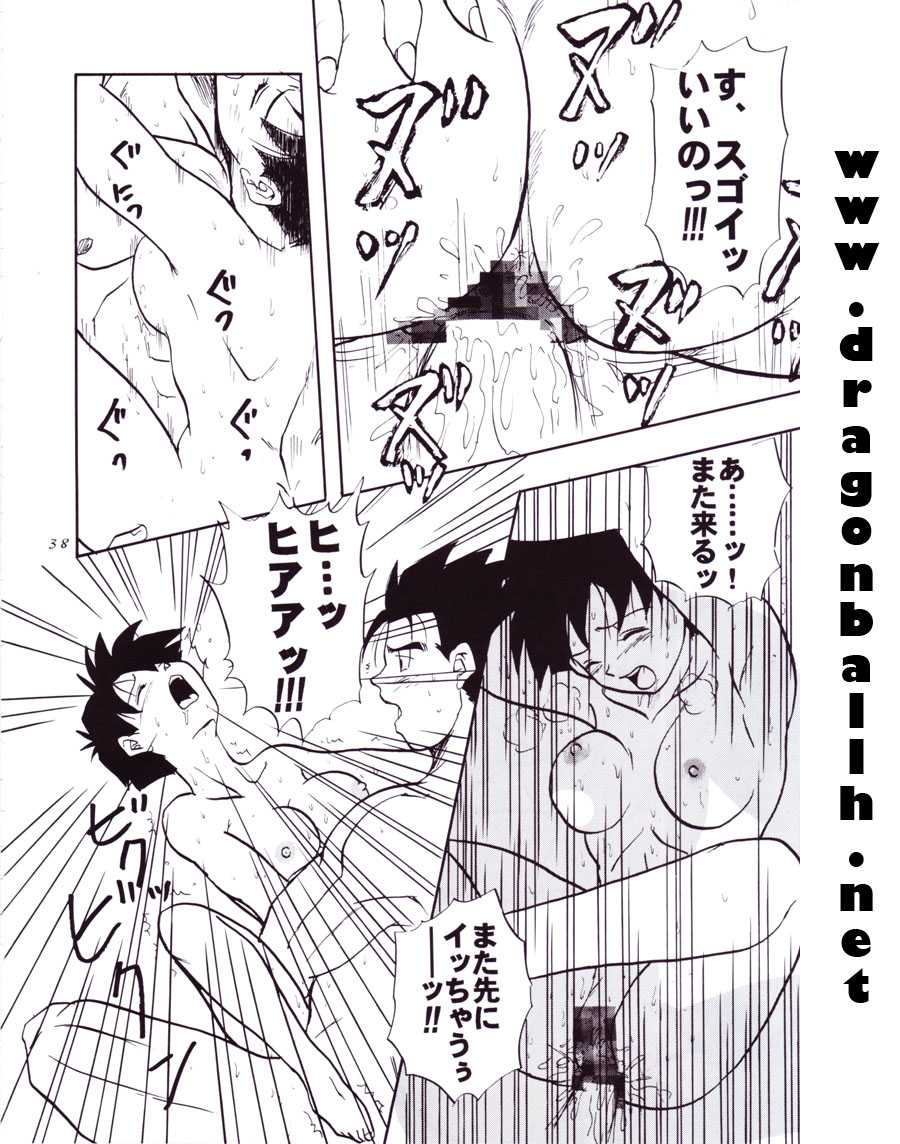 (C54) [Chirigami Goya, Fusuma Goten (Shouji Hariko)] Tirinuruwo (Dragon Ball GT) - Page 38
