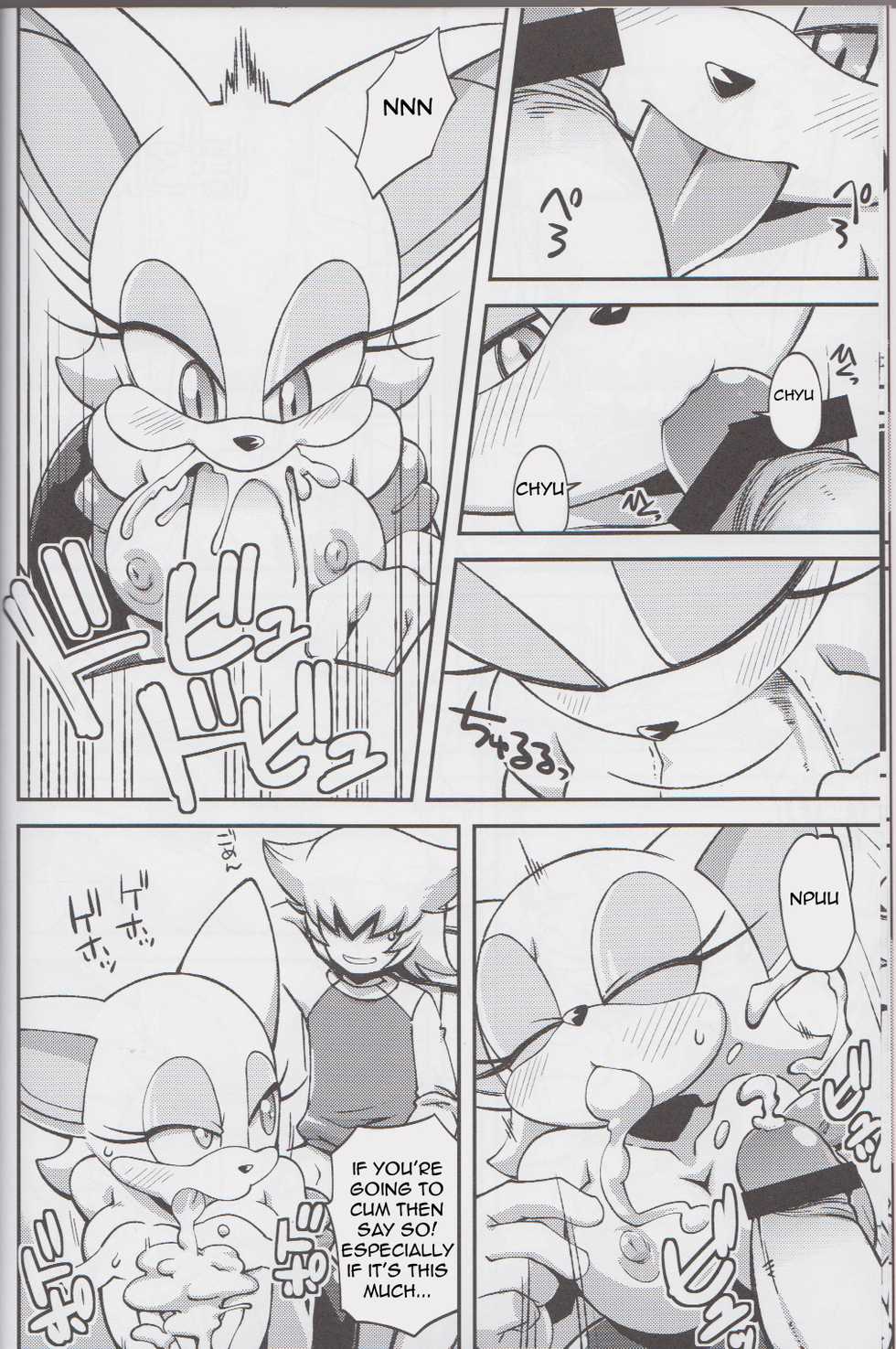 (C85) [Tengai Aku Juumonji (Various)] Ore no Fuyu 2013 (Sonic The Hedgehog) [English] [Forbiddenfetish77] - Page 9