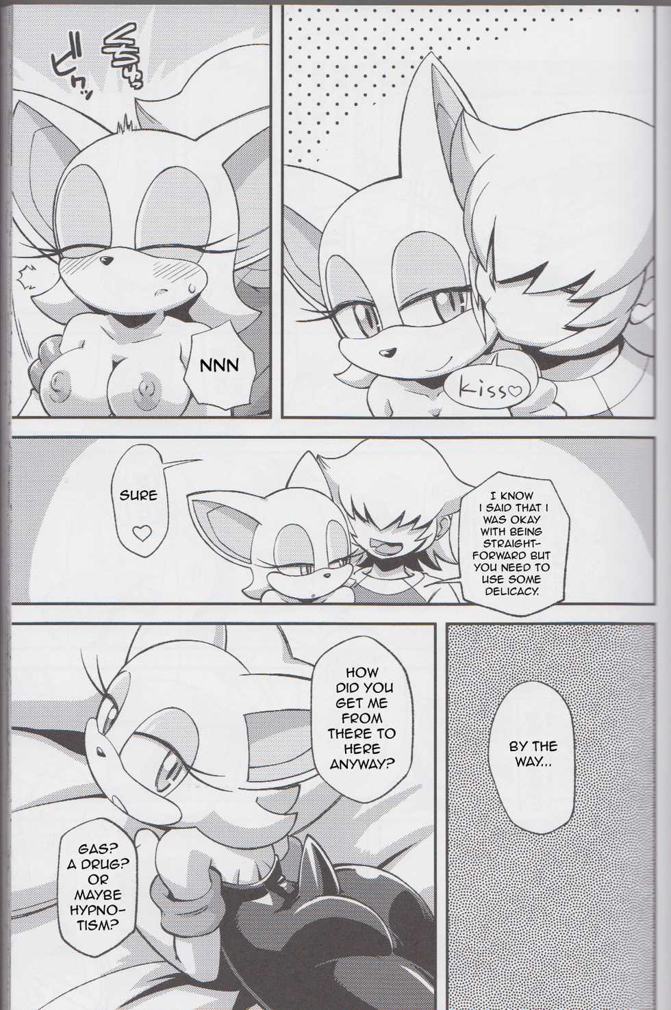 (C85) [Tengai Aku Juumonji (Various)] Ore no Fuyu 2013 (Sonic The Hedgehog) [English] [Forbiddenfetish77] - Page 10