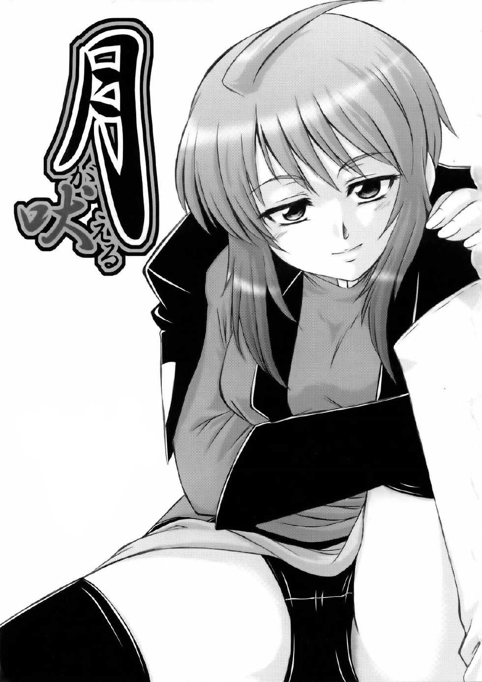 (C69) [G-R (Akiyama Kenta)] Tsuki ga Hoeru (Gundam Seed Destiny) [Russian] [Witcher000] - Page 2