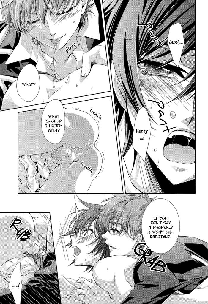 (C78) [CLASSIC MILK, PEACE and ALIEN (Asaoka Natsuki, Tonase Fuki)] Holic/02 (CODE GEASS: Lelouch of the Rebellion) [English] [Silver Lining] - Page 19