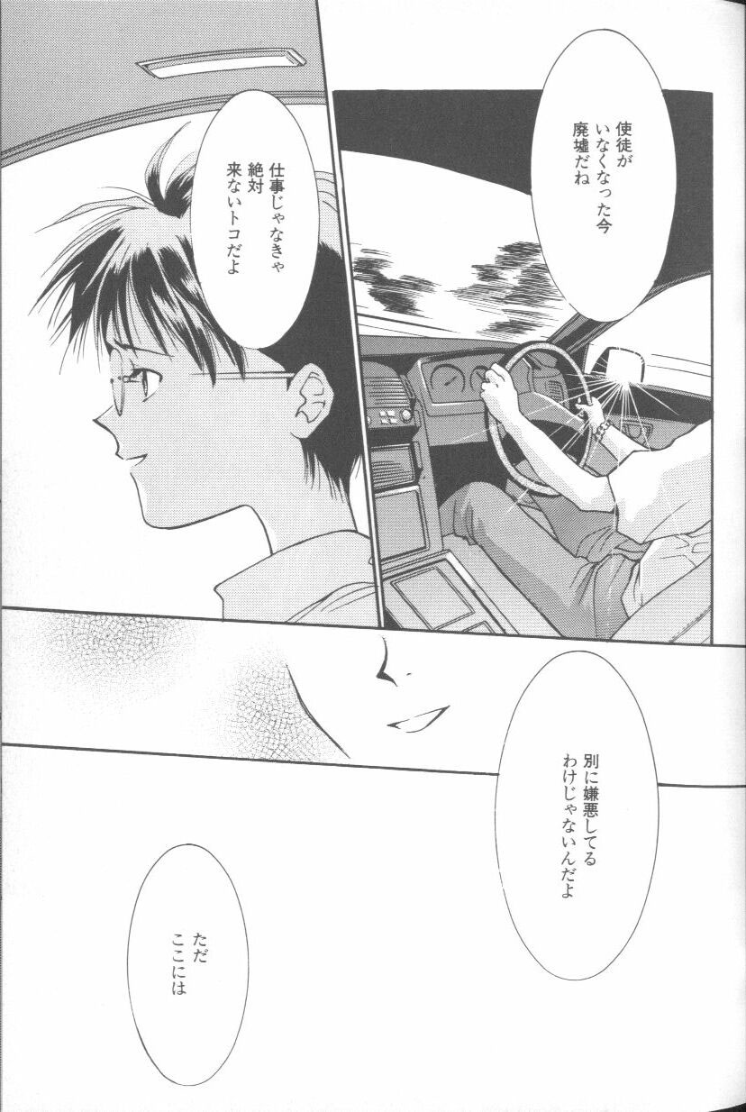 [Anthology] Angelic Impact NUMBER 02 - Ayanami Rei Hen (Neon Genesis Evangelion) - Page 21