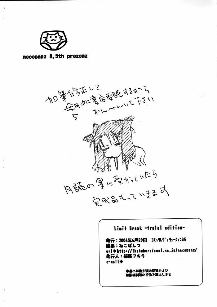 (C67) [necopanz (Hanma Akira)] LIMIT BREAK (Fate/stay night) - Page 9