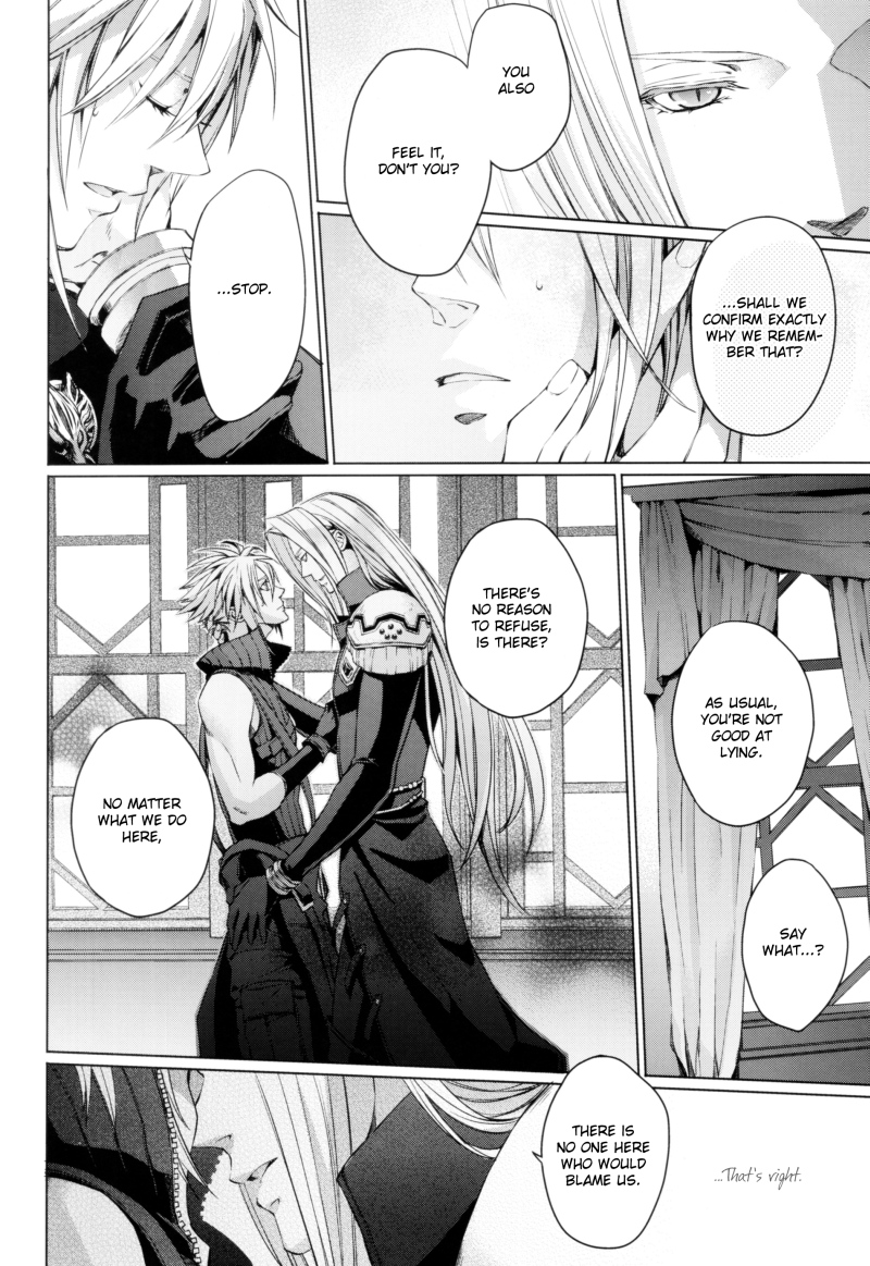 (C80) [nightflight (Yui)] Kioku no Niwa 1 | Garden of Memories 1 (Dissidia Final Fantasy) [English] - Page 18