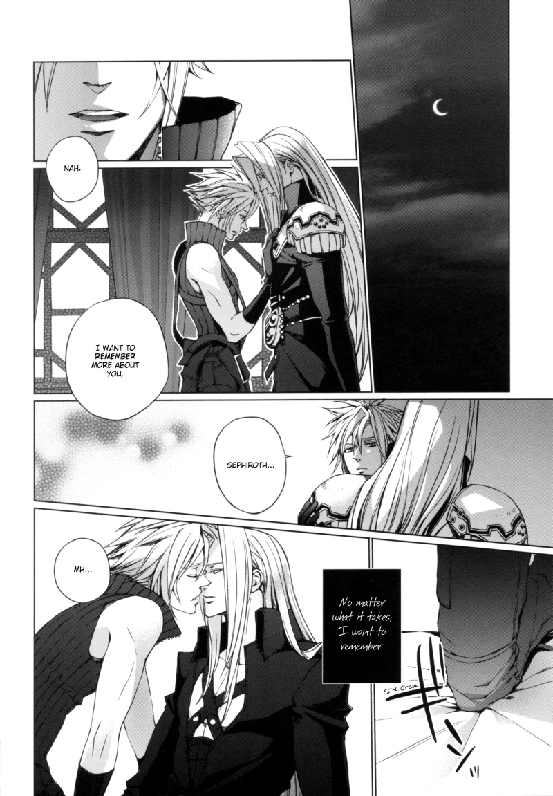 (C81) [nightflight (Yui)] Kioku no Niwa 2 | Garden of Memories 2 (Dissidia Final Fantasy) [English] - Page 10