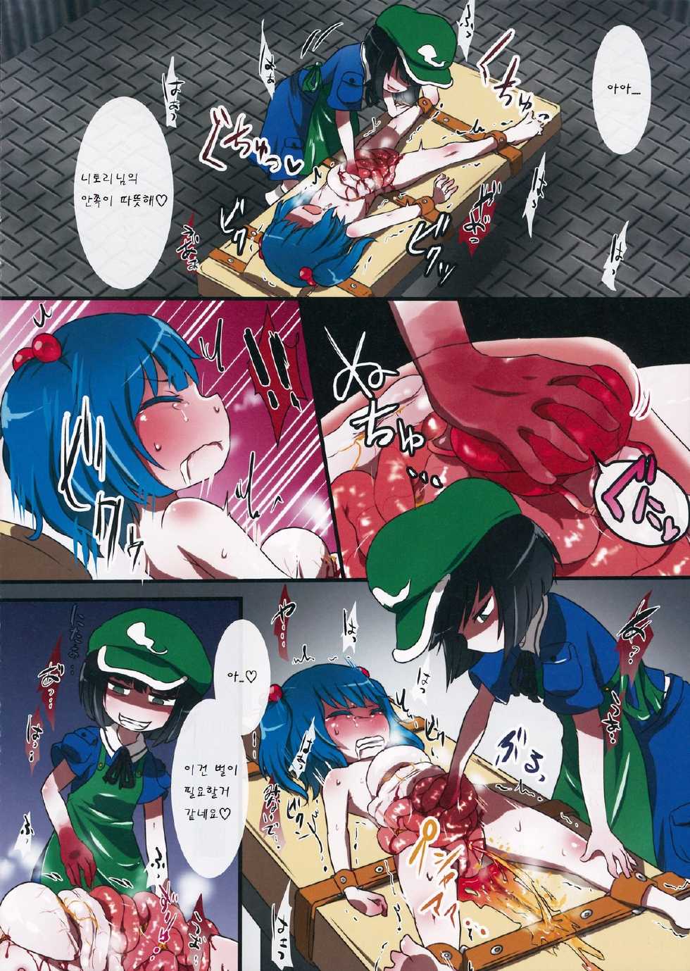(Reitaisai 12) [02 (Harasaki)] 0210564801 (Touhou Project) [Korean] [팀 남성부] - Page 5