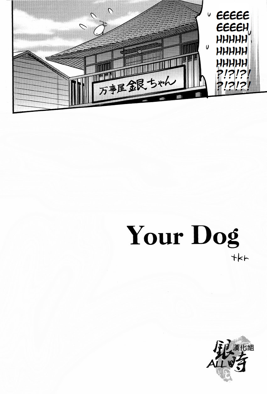 (HaruCC18) [3745HOUSE, tekkaG (MIkami Takeru, Haru)] HOW to SPOIL YOUR DOG (Gintama) [English] [valc21] - Page 8