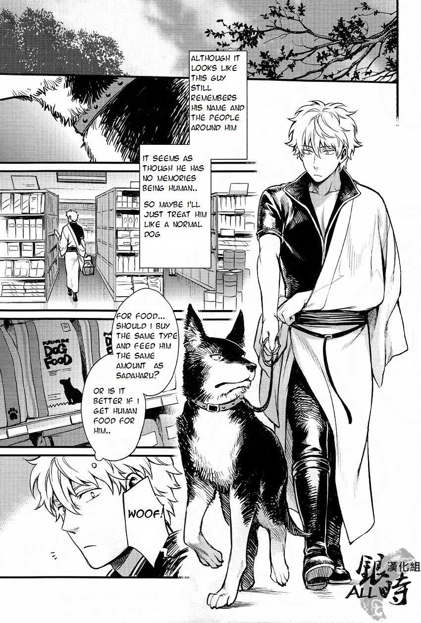 (HaruCC18) [3745HOUSE, tekkaG (MIkami Takeru, Haru)] HOW to SPOIL YOUR DOG (Gintama) [English] [valc21] - Page 13