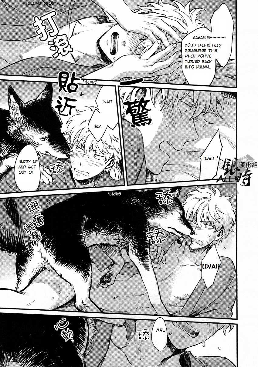 (HaruCC18) [3745HOUSE, tekkaG (MIkami Takeru, Haru)] HOW to SPOIL YOUR DOG (Gintama) [English] [valc21] - Page 25