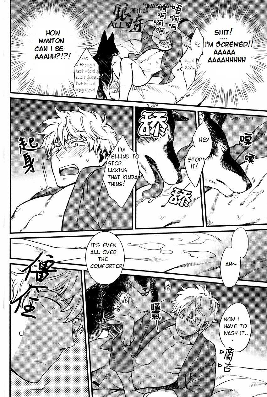 (HaruCC18) [3745HOUSE, tekkaG (MIkami Takeru, Haru)] HOW to SPOIL YOUR DOG (Gintama) [English] [valc21] - Page 28