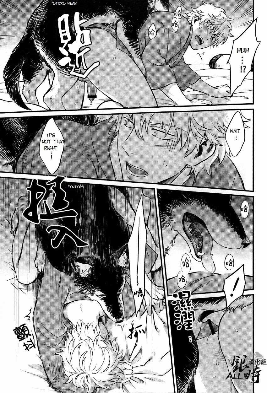 (HaruCC18) [3745HOUSE, tekkaG (MIkami Takeru, Haru)] HOW to SPOIL YOUR DOG (Gintama) [English] [valc21] - Page 29