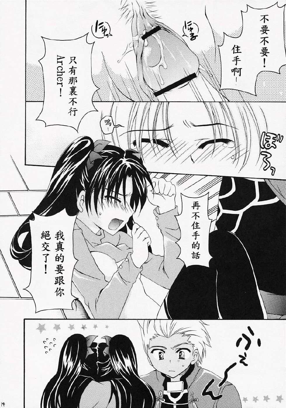 (ComiComi10) [GUNBURREL (Ikura Nagisa)] Silhouette X (Fate/stay night) [Chinese] [wl00314824個人漢化] - Page 13