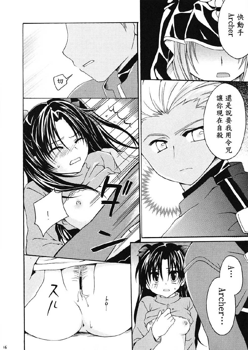 (ComiComi10) [GUNBURREL (Ikura Nagisa)] Silhouette X (Fate/stay night) [Chinese] [wl00314824個人漢化] - Page 15