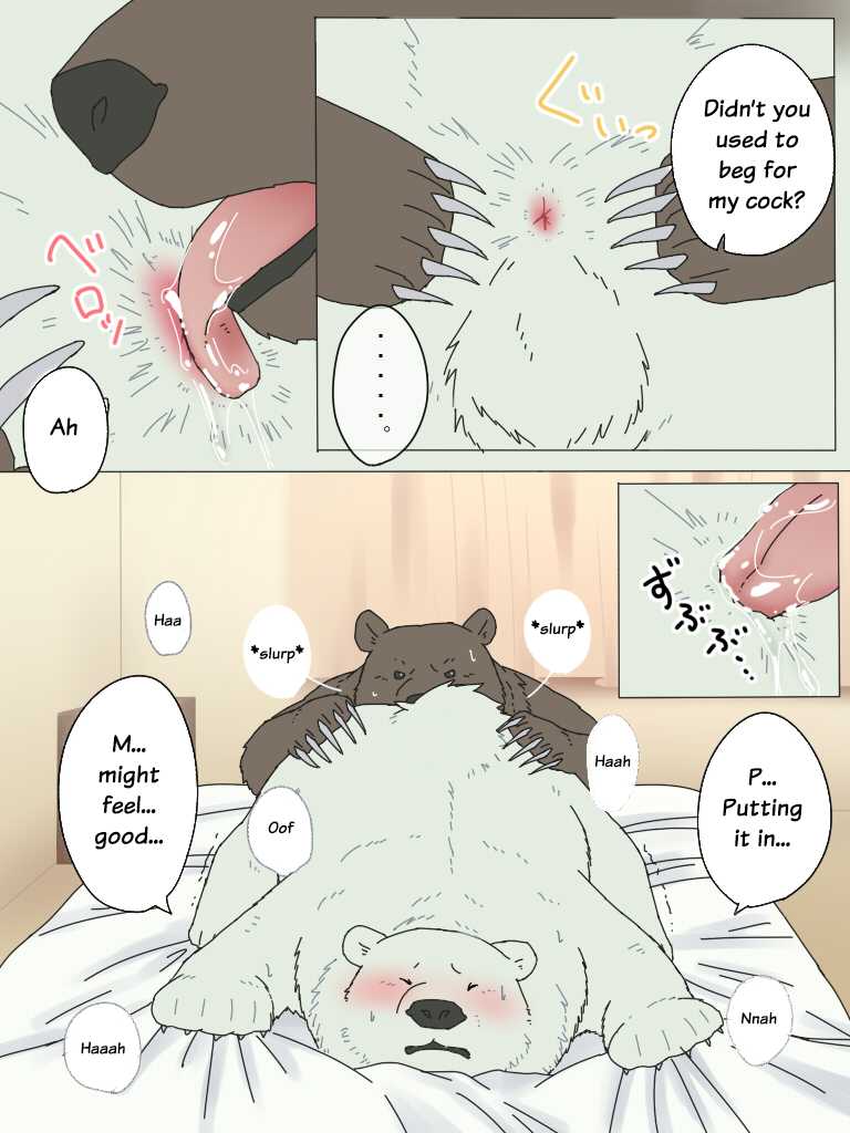 [Otousan (Otou)] Shirokuma-san to Haiiroguma-san ga Ecchi suru dake | Polar Bear and Grizzly Just Have Sex [English] [@and_is_w] - Page 8