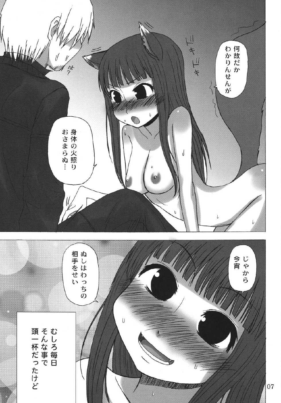 (COMIC1☆2) [Sanada Jirushi (Sanada)] Haretara Mangetsu to Chaimasunon? (Spice and Wolf) - Page 6