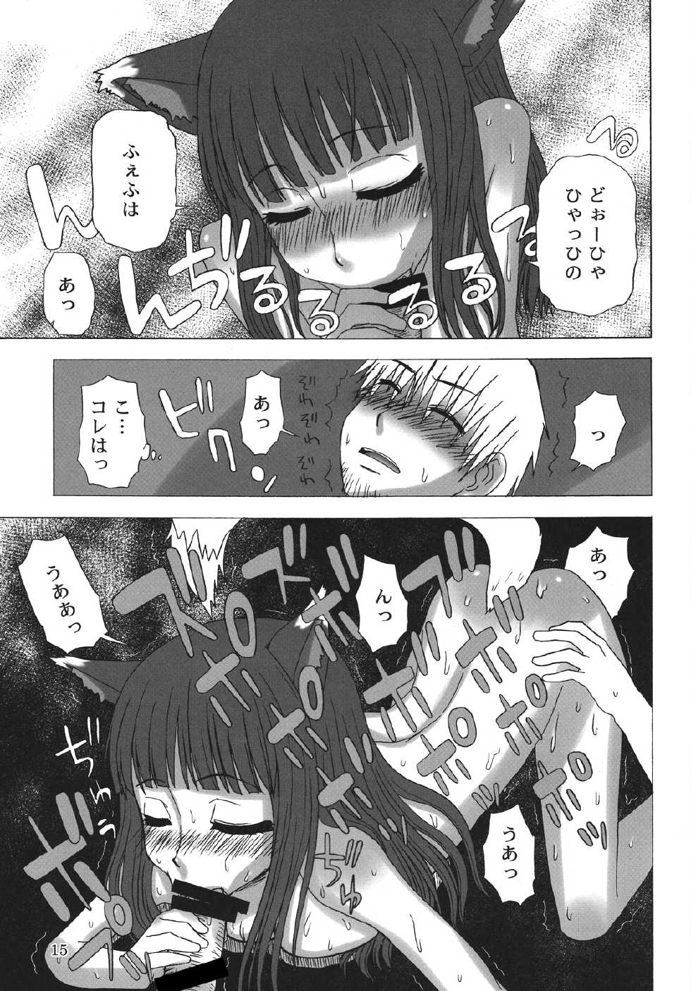 (COMIC1☆2) [Sanada Jirushi (Sanada)] Haretara Mangetsu to Chaimasunon? (Spice and Wolf) - Page 14