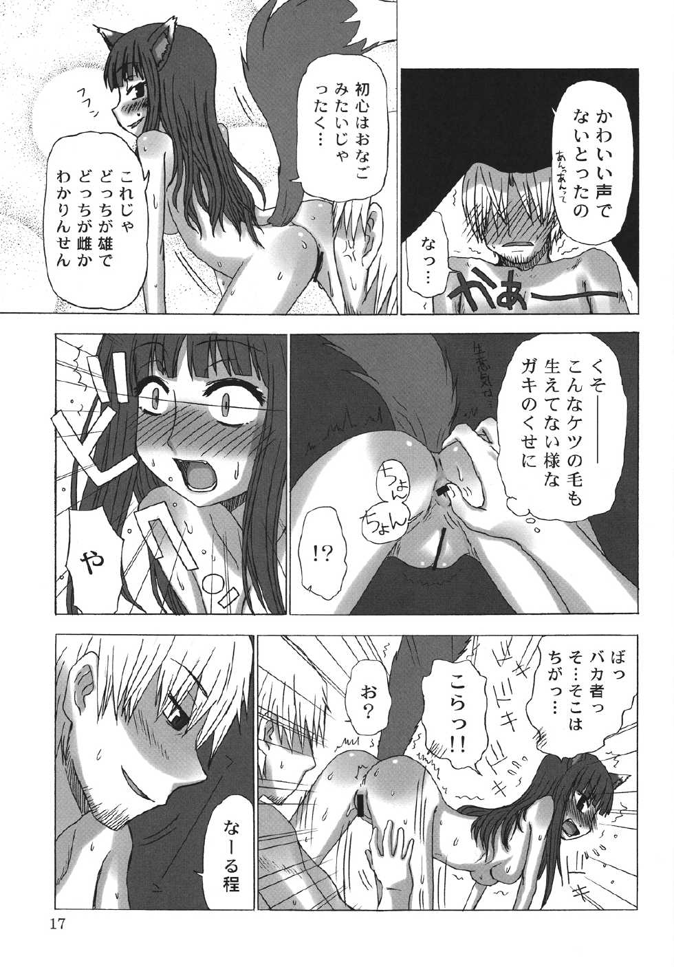 (COMIC1☆2) [Sanada Jirushi (Sanada)] Haretara Mangetsu to Chaimasunon? (Spice and Wolf) - Page 16