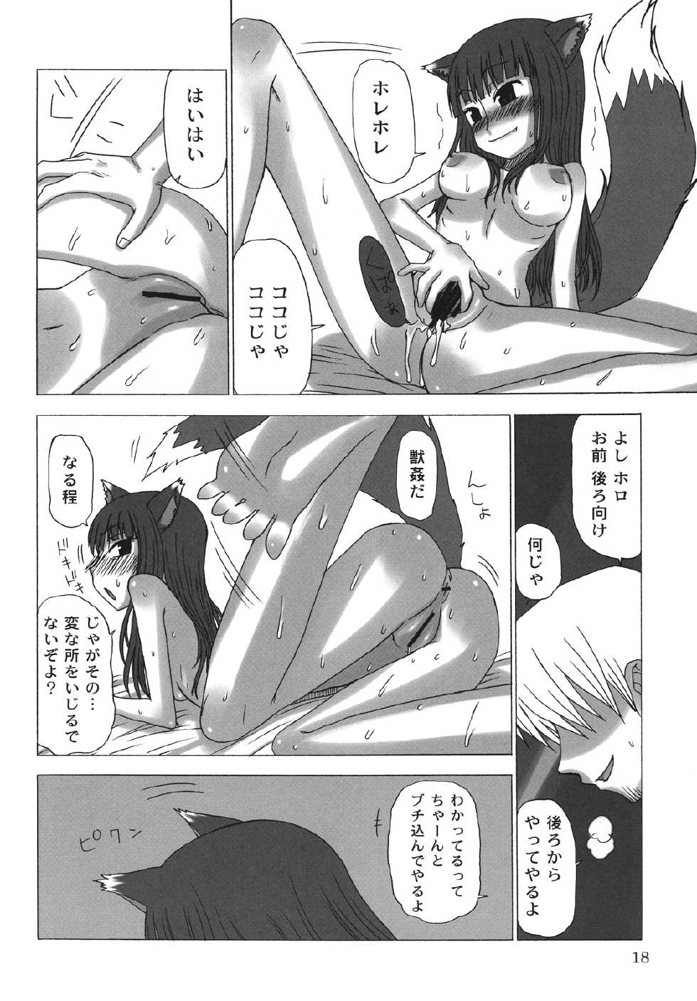 (COMIC1☆2) [Sanada Jirushi (Sanada)] Haretara Mangetsu to Chaimasunon? (Spice and Wolf) - Page 17