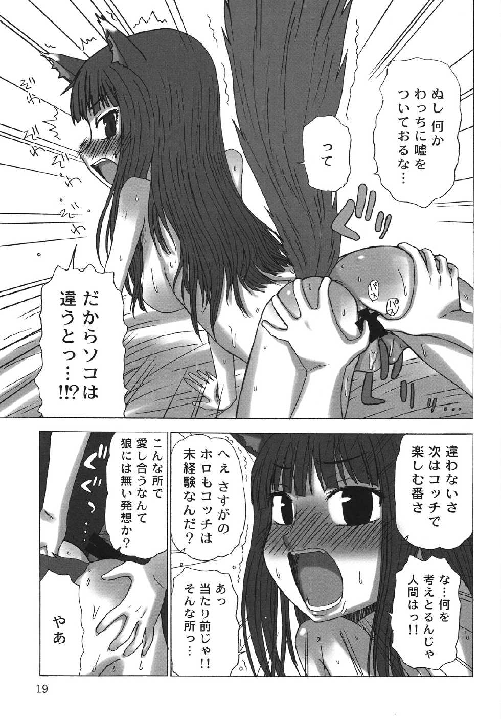 (COMIC1☆2) [Sanada Jirushi (Sanada)] Haretara Mangetsu to Chaimasunon? (Spice and Wolf) - Page 18