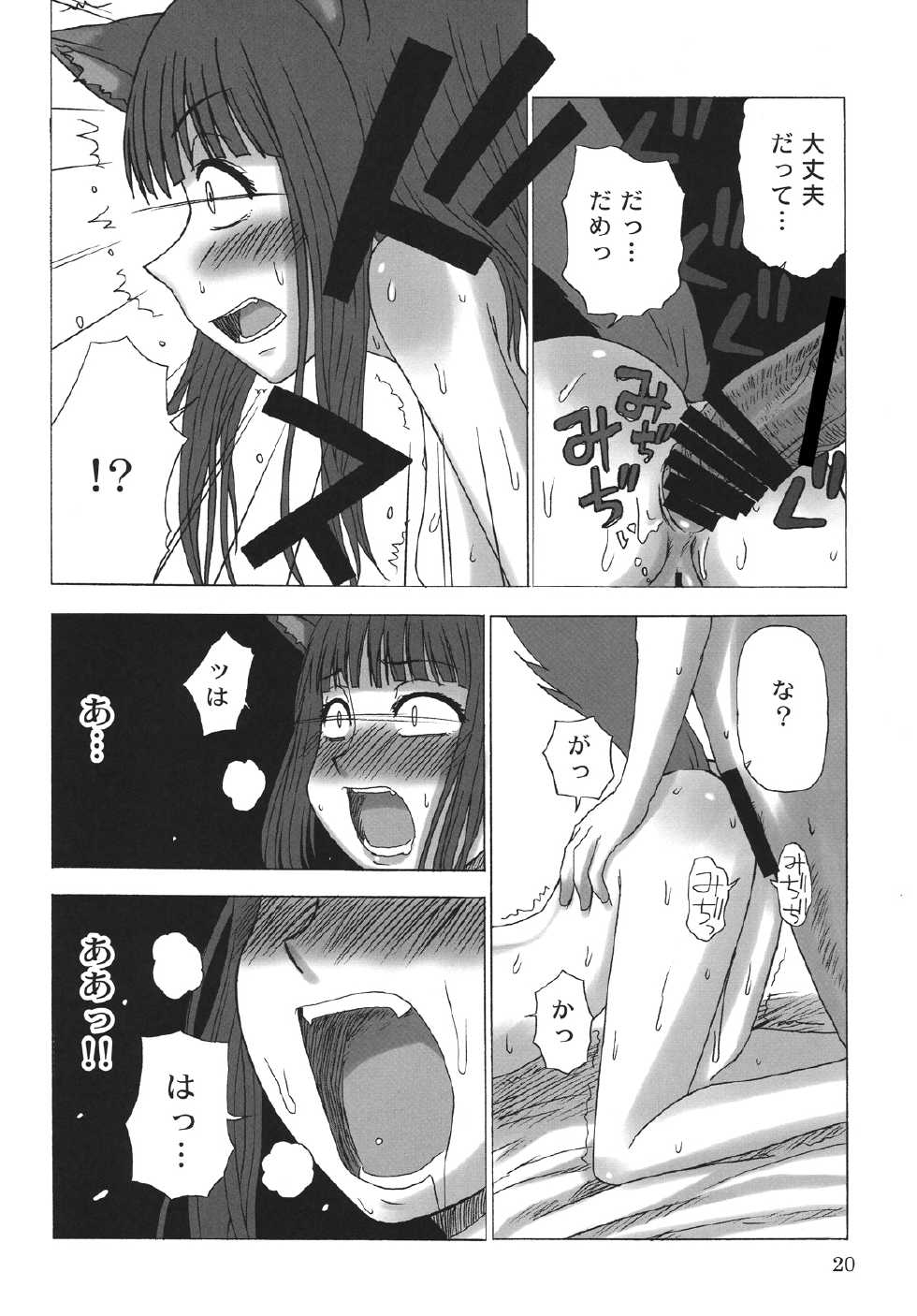 (COMIC1☆2) [Sanada Jirushi (Sanada)] Haretara Mangetsu to Chaimasunon? (Spice and Wolf) - Page 19