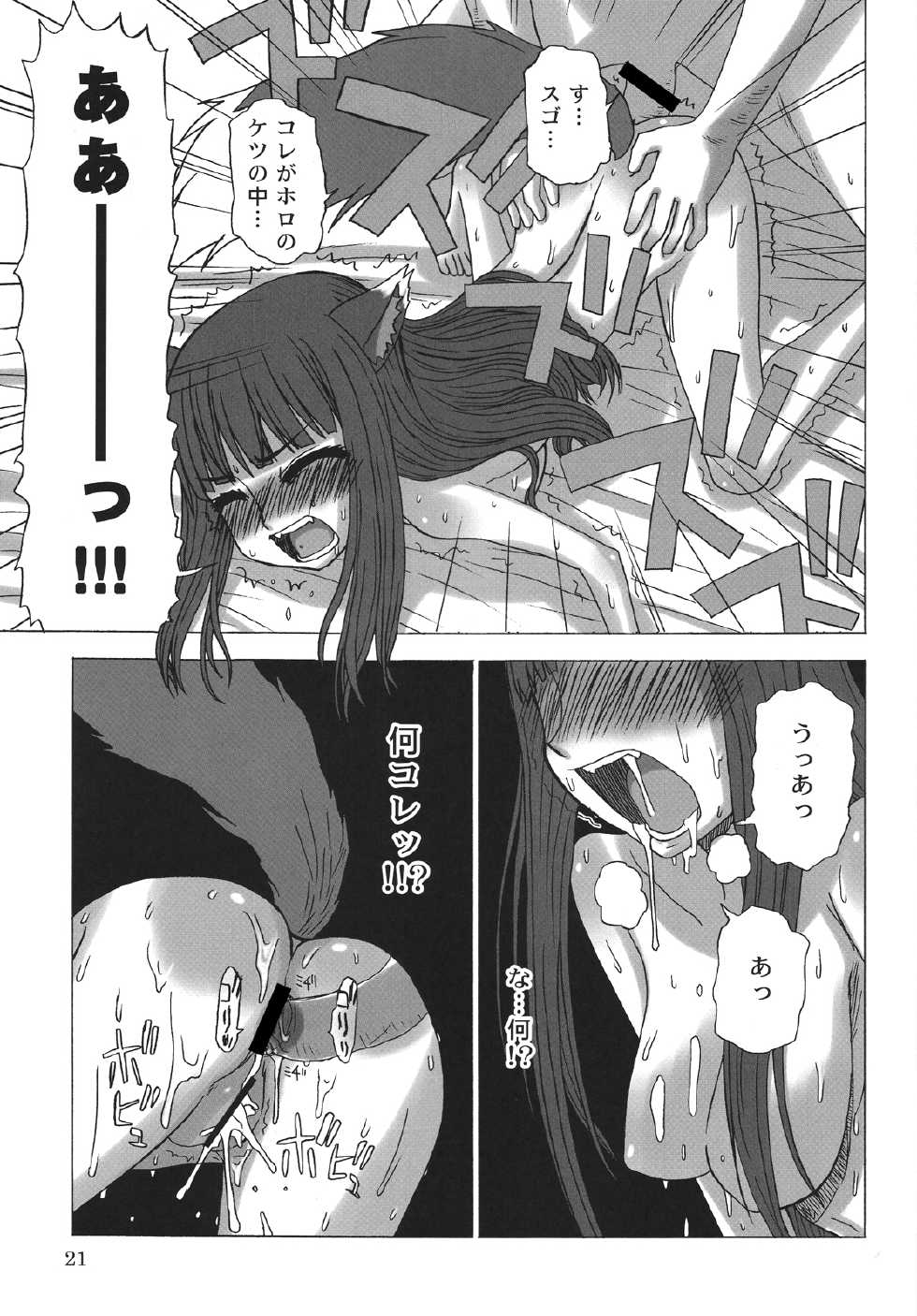(COMIC1☆2) [Sanada Jirushi (Sanada)] Haretara Mangetsu to Chaimasunon? (Spice and Wolf) - Page 20