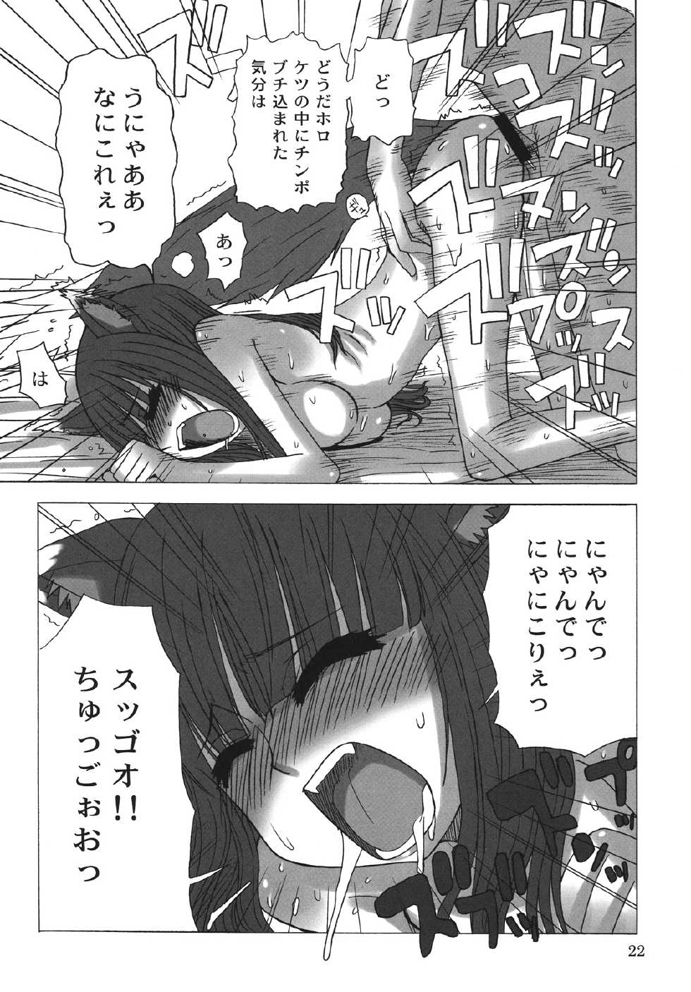 (COMIC1☆2) [Sanada Jirushi (Sanada)] Haretara Mangetsu to Chaimasunon? (Spice and Wolf) - Page 21