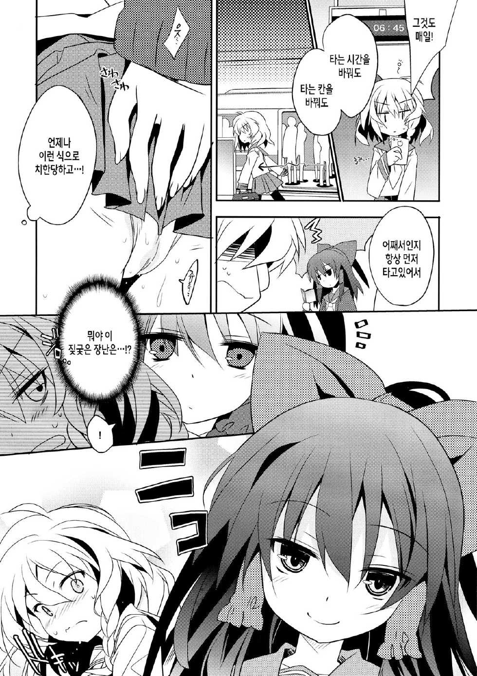 (C87) [Toriaezu(kari) (Tororo)] Rei ￫ Mari Chikan Densha (Touhou Project) [Korean] - Page 5