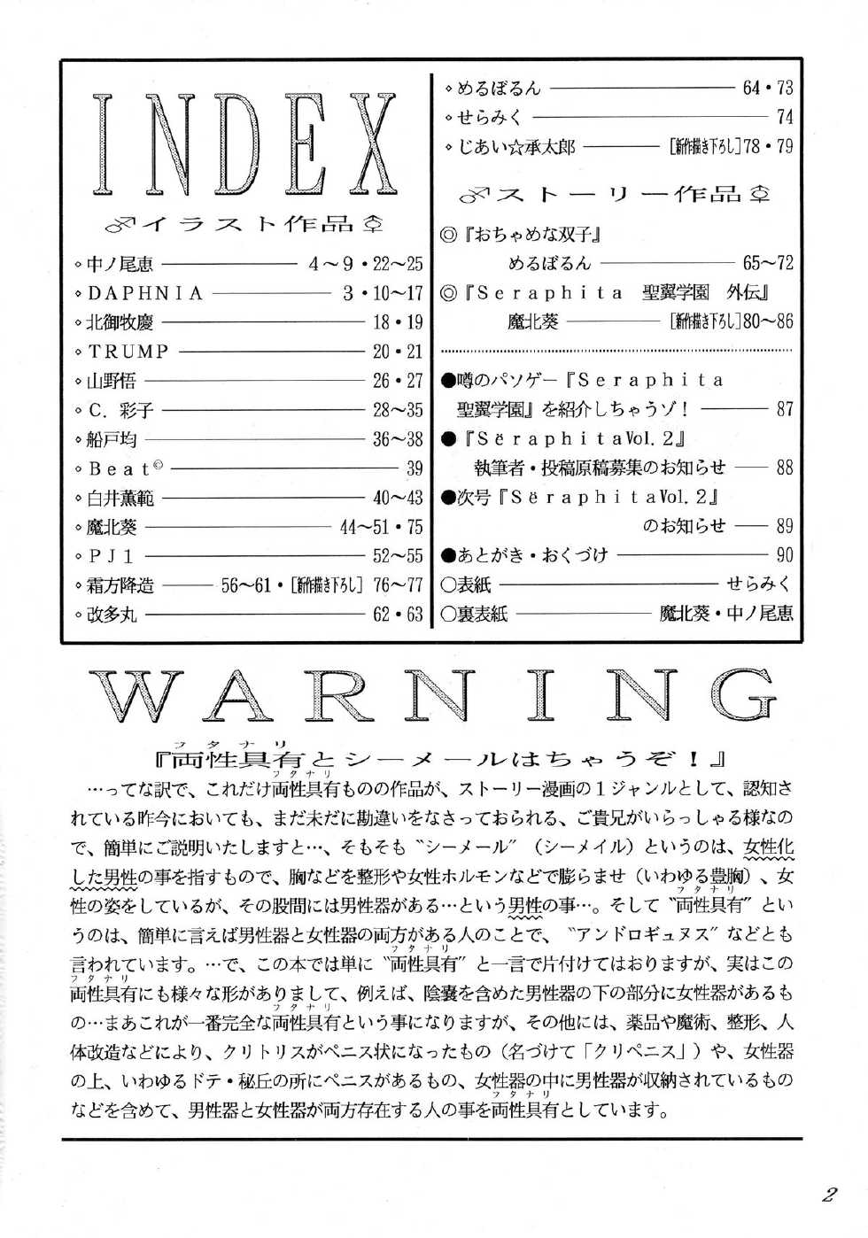 (C53) [LULU Koubou (Various)] Seraphita REMIX - Page 4