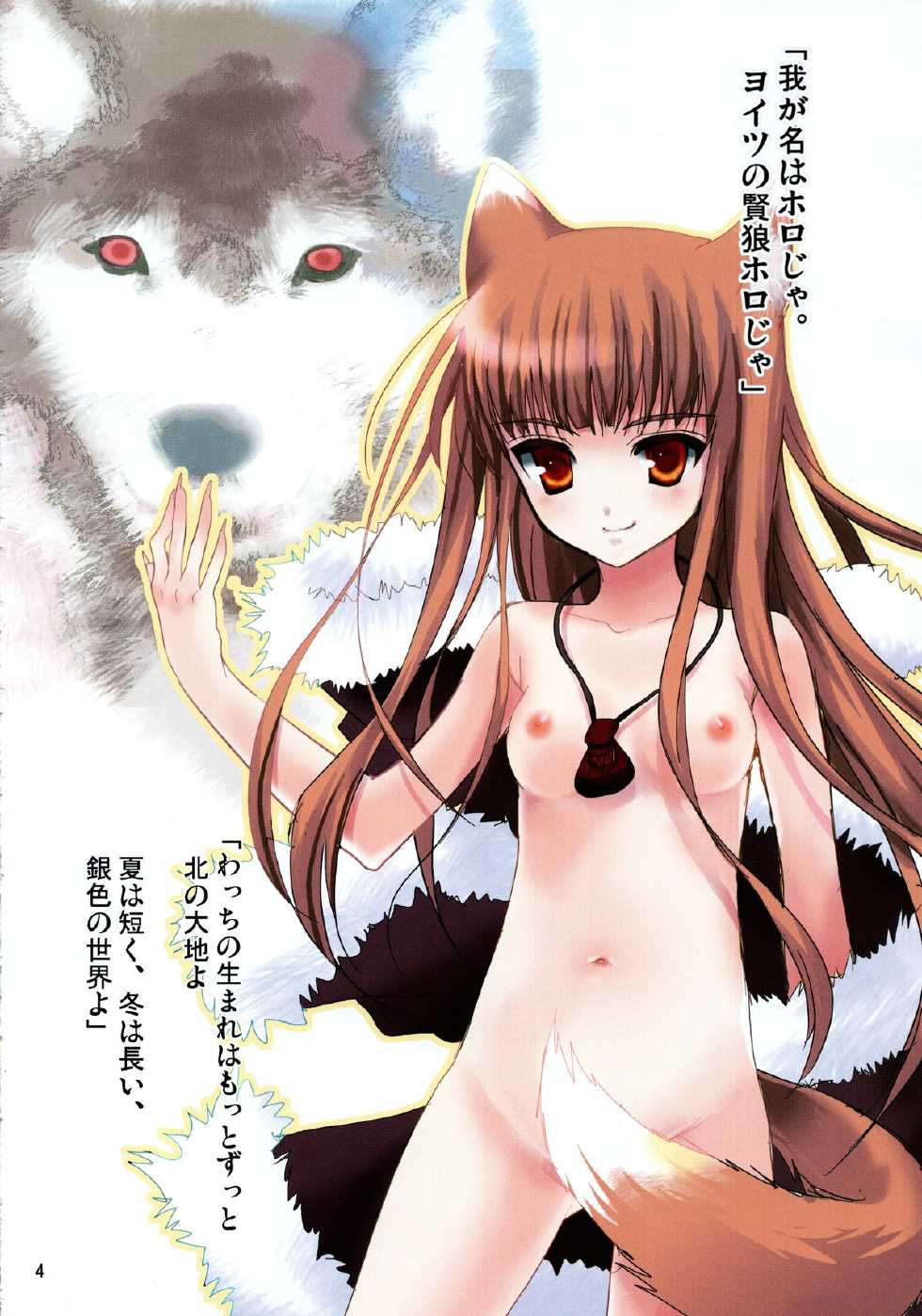 (C72) [Chimaroni? (Chimaro)] Torokeru Kajitsu (Spice and Wolf) - Page 4