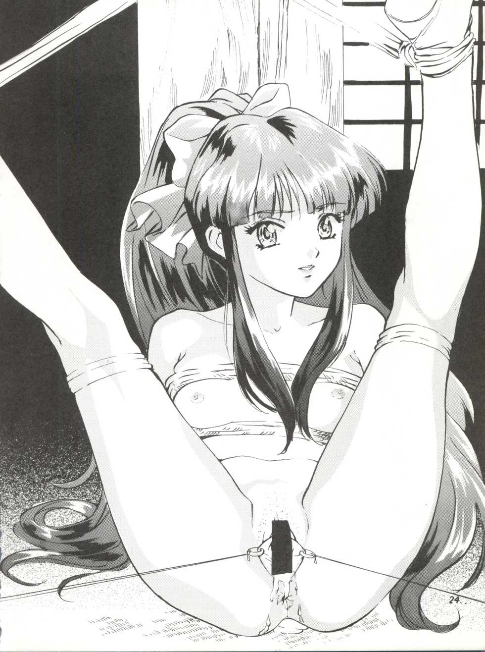 (CR23) [STUDIO PAL (Hazuki Kaoru)] KanKan. Vol. 2 (Fancy Lala) - Page 24