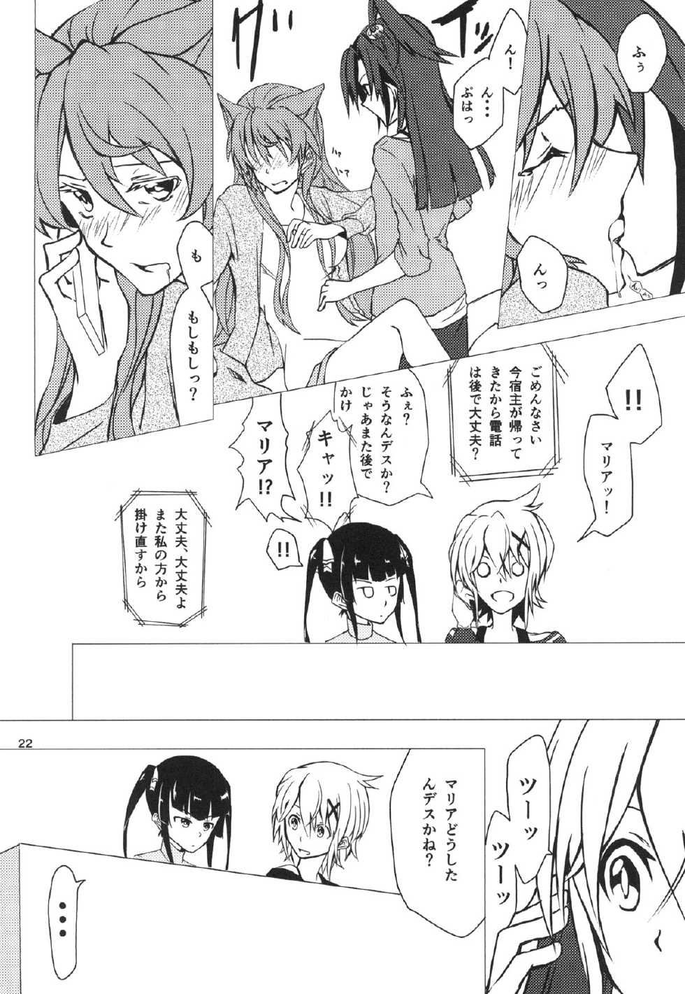 (C85) [HB (Futoo)] Wunsch (Senki Zesshou Symphogear) - Page 22