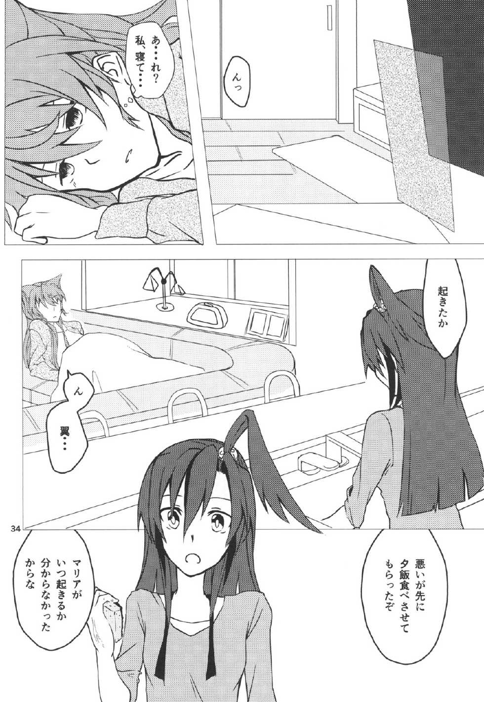 (C85) [HB (Futoo)] Wunsch (Senki Zesshou Symphogear) - Page 34
