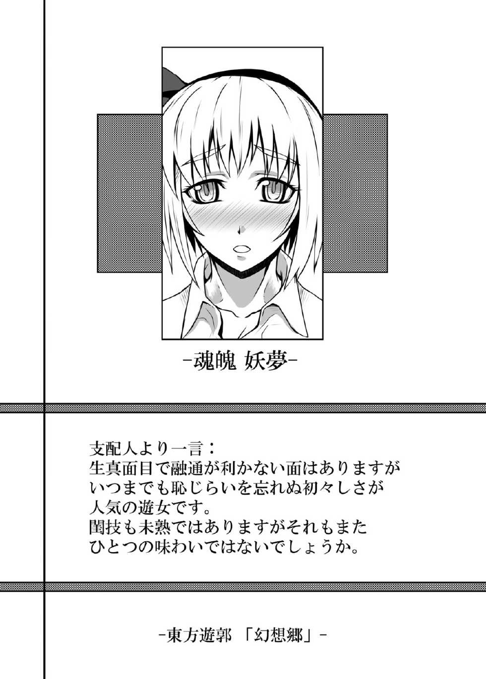 [Avion Village (Johnny)] Touhou Project no Hon Soushuuhen (Touhou Project) [Digital] - Page 7