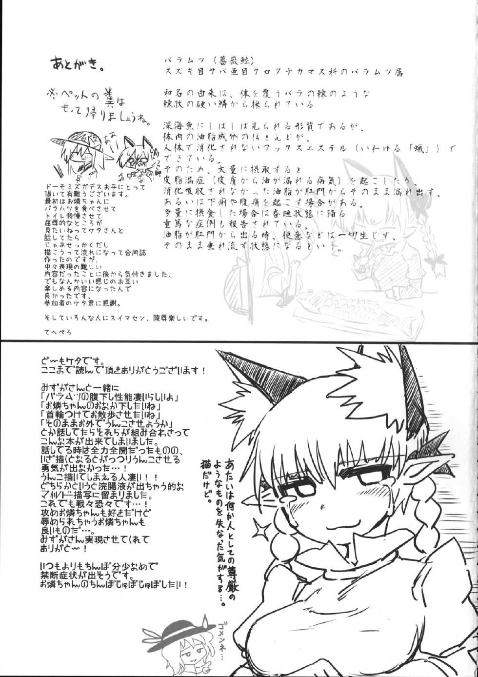 (Reitaisai 12) [Psychetangle, RTD (Keta, Mizuga)] Osanpo Orinrin Goudou (Touhou Project) - Page 30