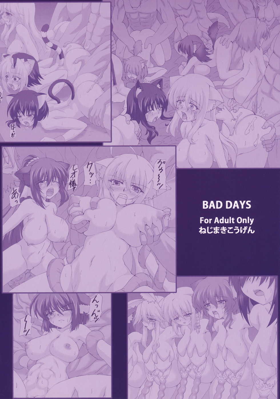 (C80) [Nejimaki Kougen (Kirisawa Tokito)] BAD DAYS (Dog Days) [Korean] [Leins] - Page 26