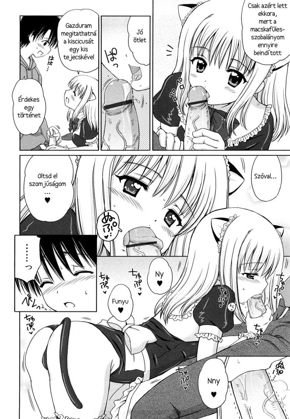[Aoyama Reo] Daisuki Daisuki [Hungarian] [Lolicololin] - Page 11