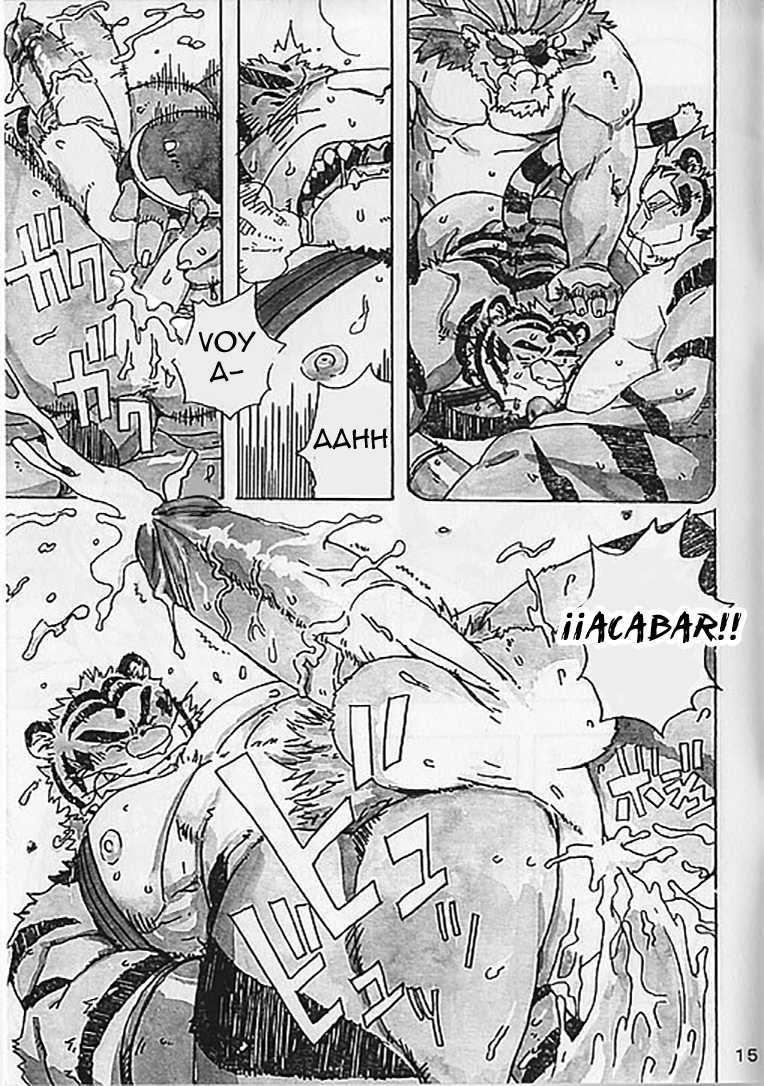 (C76) [Dragon Heart (gamma)] Choujuu Gasshin Build Tiger 5 | Super Beast Fusion Build Tiger 5 [Spanish] [Tori-traducciones] - Page 18