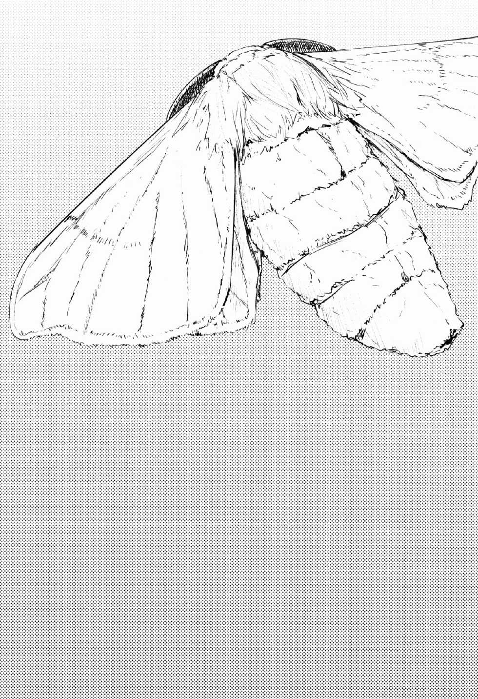 (COMIC1☆9) [Sakekan Memorial (SOLOPIPB)] Shiragasane -Tamoto- | Layers of White 2 [English] [rampantserenity] - Page 3