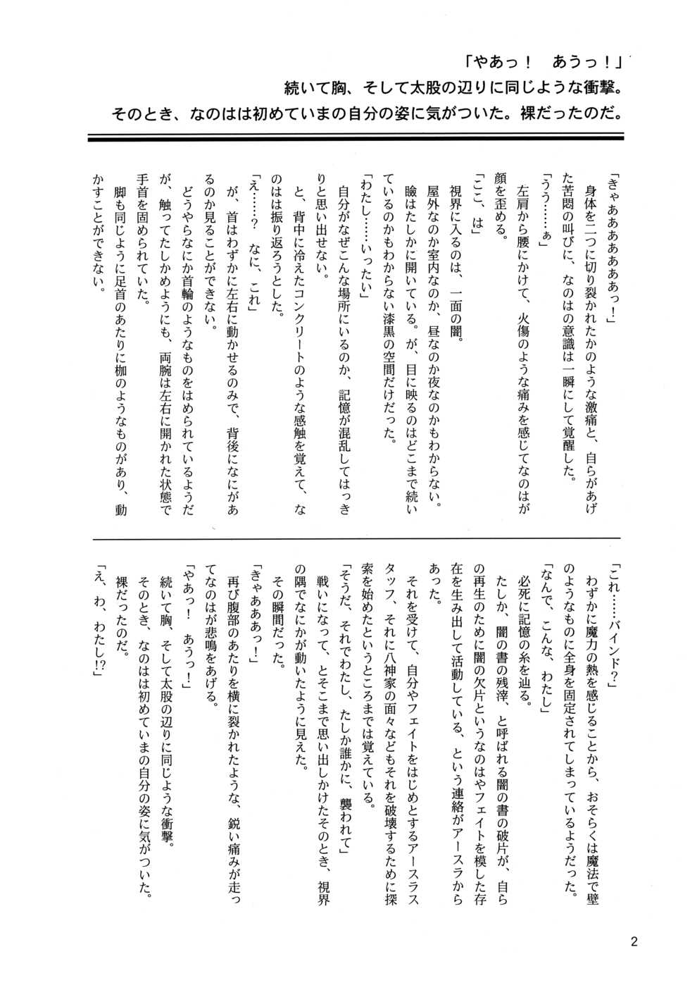 (Lyrical Magical 18) [CappuccinoLaboratory. (Hatsukichi, Yaeba)] Tokoyami ni Hana, Mai Ochiru (Mahou Shoujo Lyrical Nanoha) - Page 3