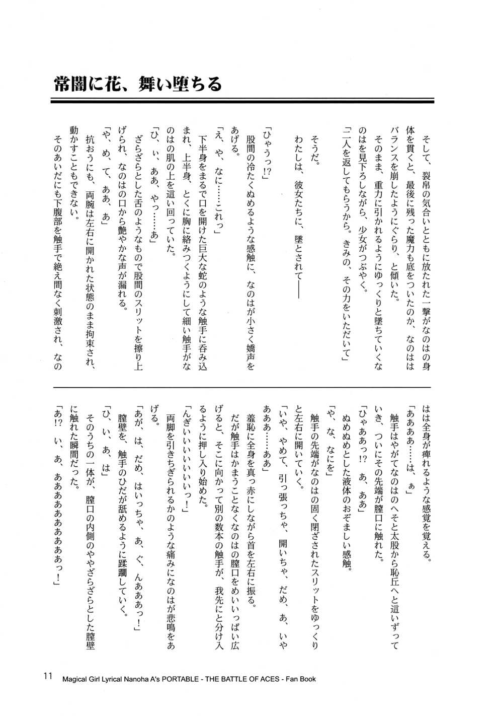 (Lyrical Magical 18) [CappuccinoLaboratory. (Hatsukichi, Yaeba)] Tokoyami ni Hana, Mai Ochiru (Mahou Shoujo Lyrical Nanoha) - Page 12