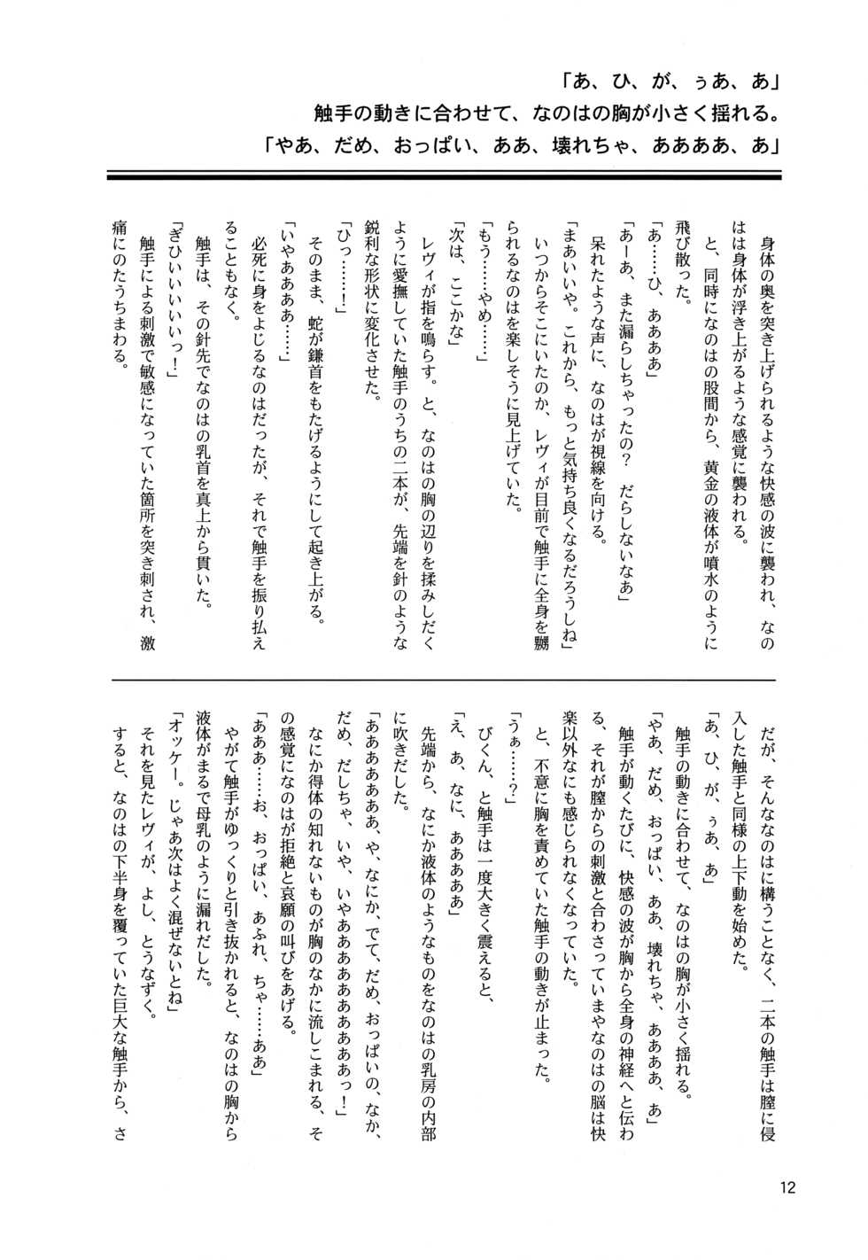 (Lyrical Magical 18) [CappuccinoLaboratory. (Hatsukichi, Yaeba)] Tokoyami ni Hana, Mai Ochiru (Mahou Shoujo Lyrical Nanoha) - Page 13