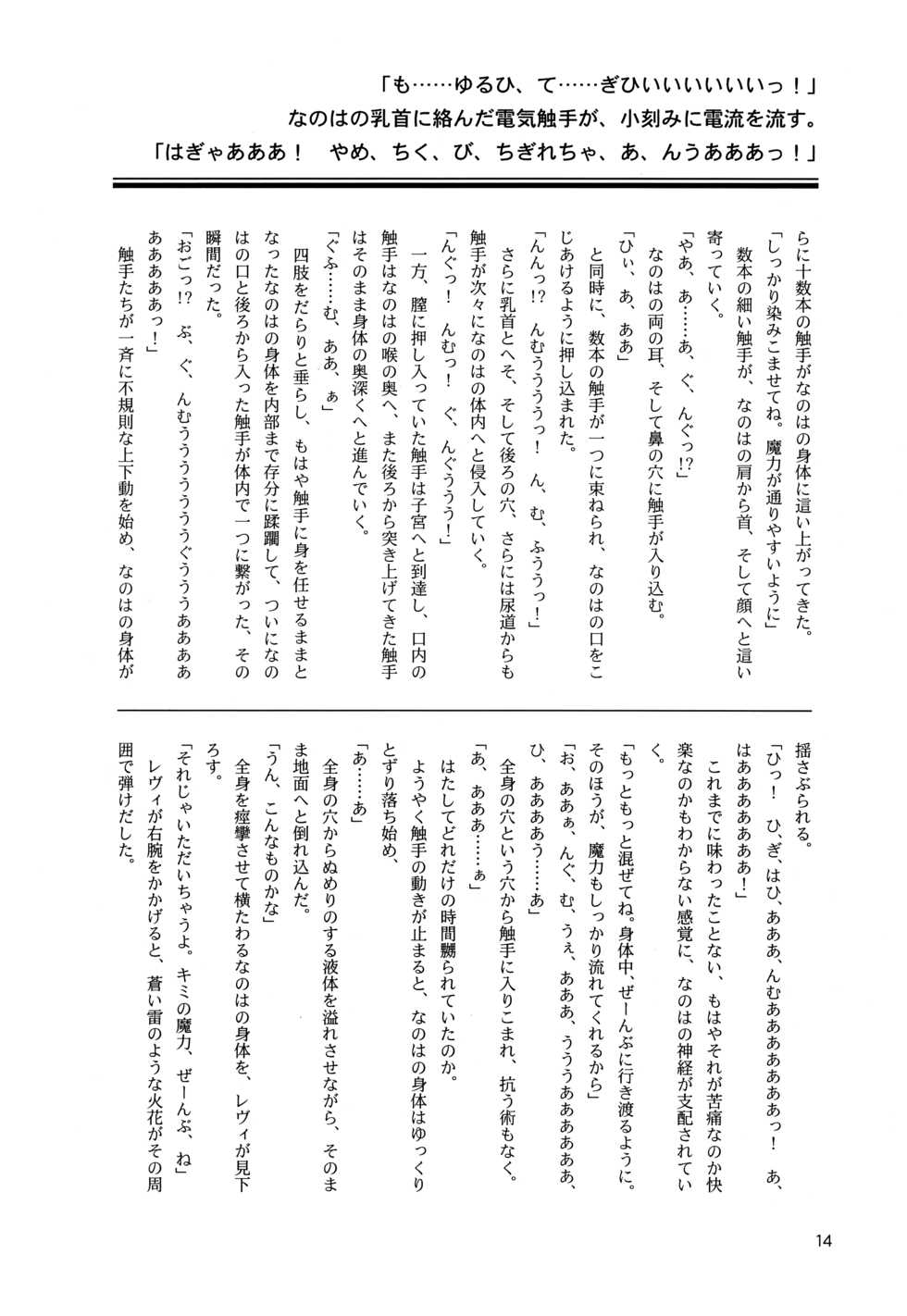 (Lyrical Magical 18) [CappuccinoLaboratory. (Hatsukichi, Yaeba)] Tokoyami ni Hana, Mai Ochiru (Mahou Shoujo Lyrical Nanoha) - Page 15