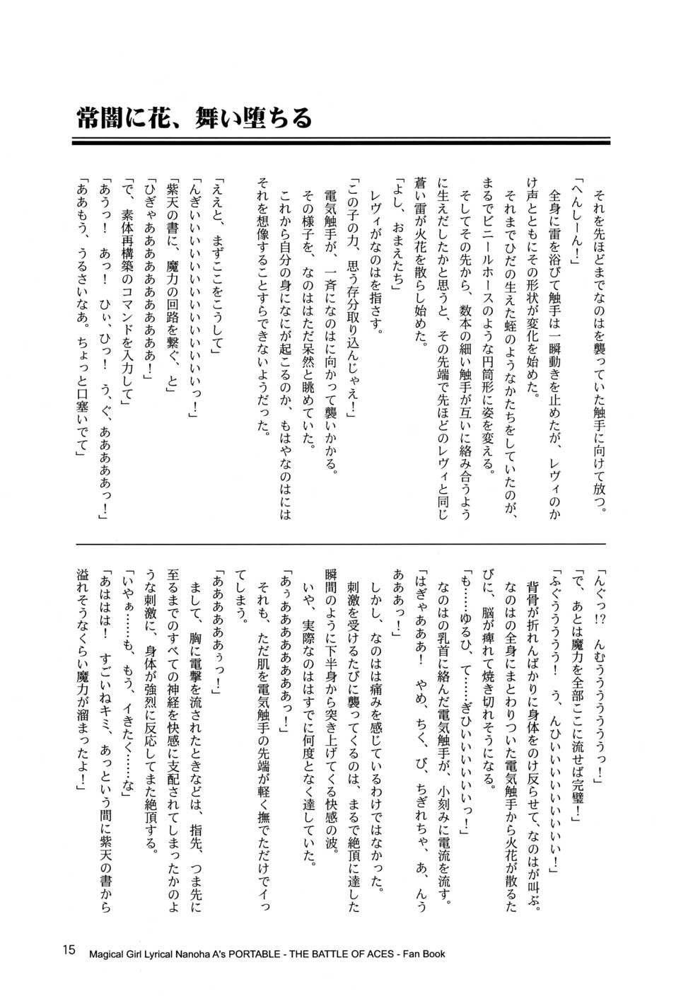 (Lyrical Magical 18) [CappuccinoLaboratory. (Hatsukichi, Yaeba)] Tokoyami ni Hana, Mai Ochiru (Mahou Shoujo Lyrical Nanoha) - Page 16